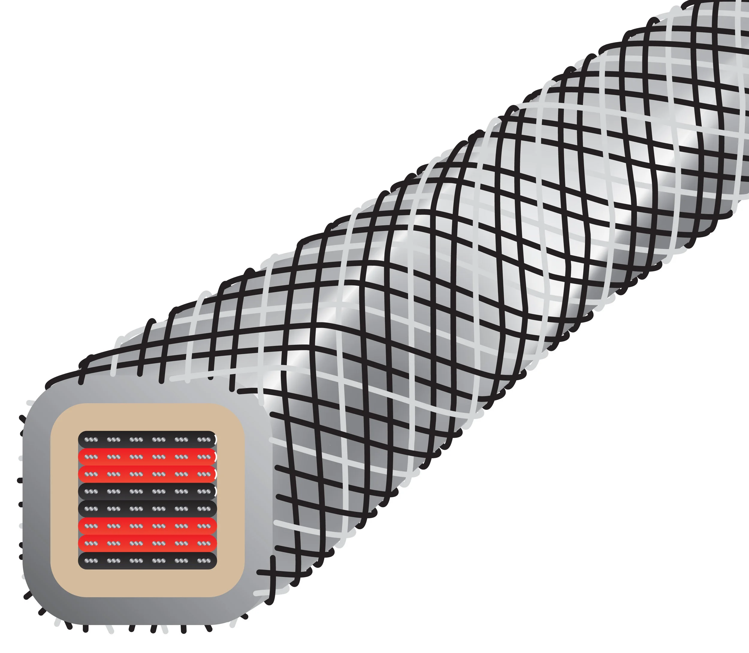 PES7_Cross-section.jpg