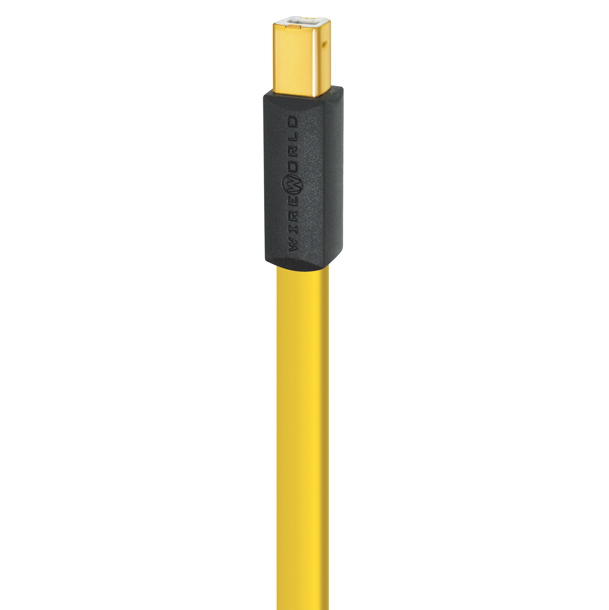 CSB-B2xNew.png