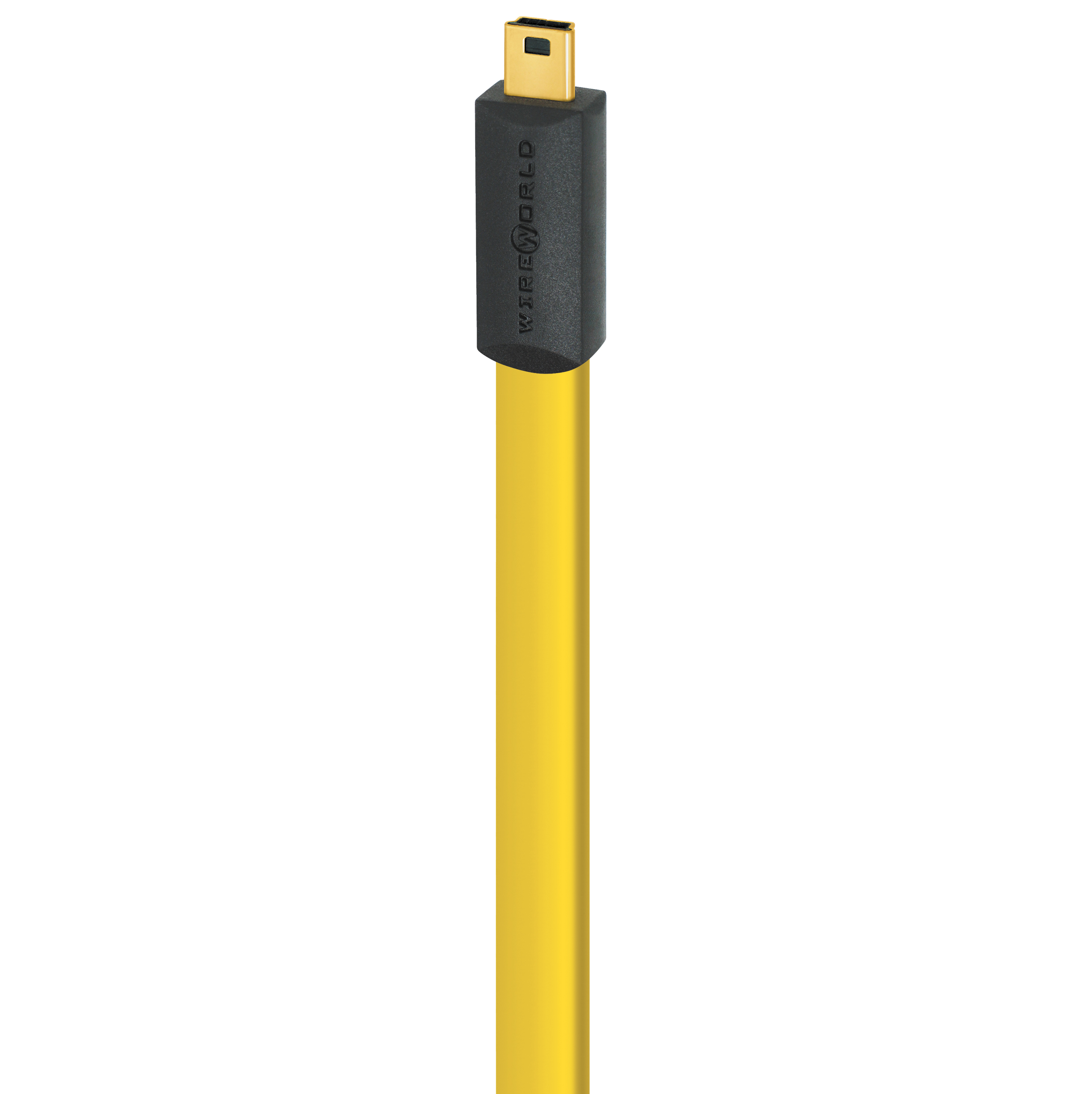 CSM-2x.New.png