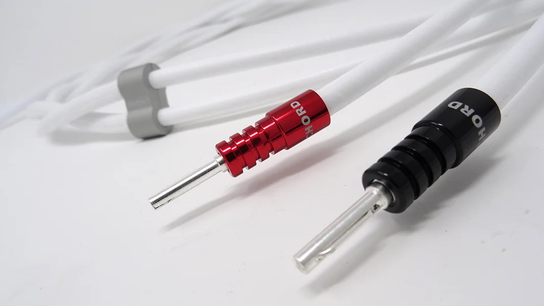 sarum-spkr-ohmic-002.jpg