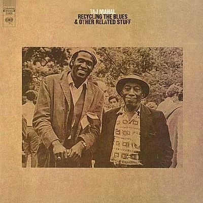 org112-tajmahal-recyclingtheblues.jpg