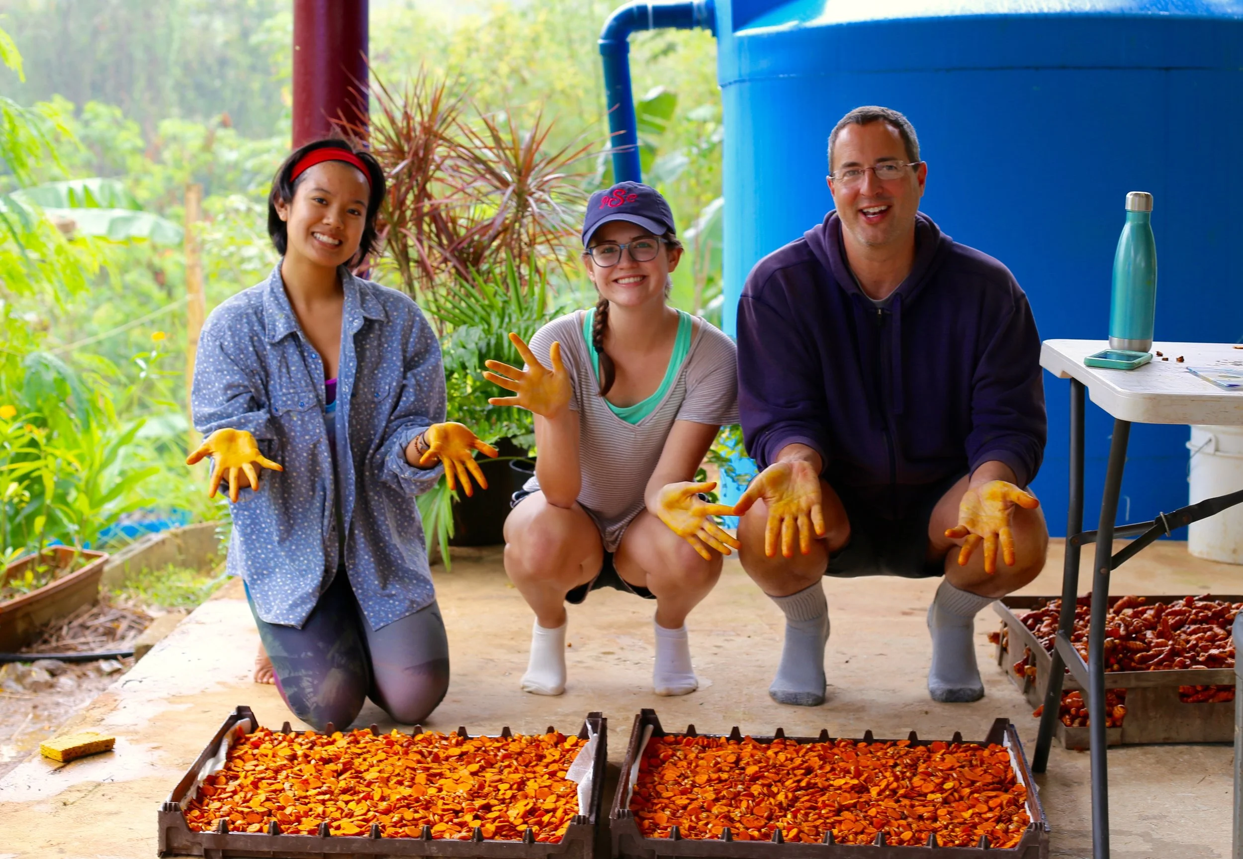 Service-Tumeric.jpg