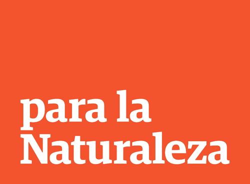 pln-logo-res.png