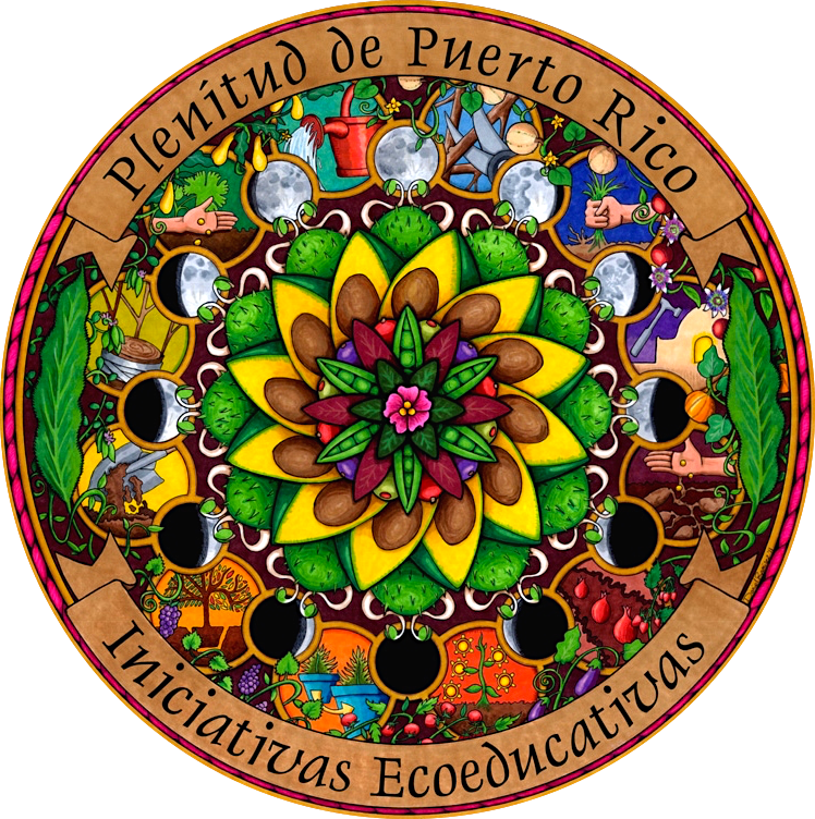 mandala ISOLATED - SATURATED.png
