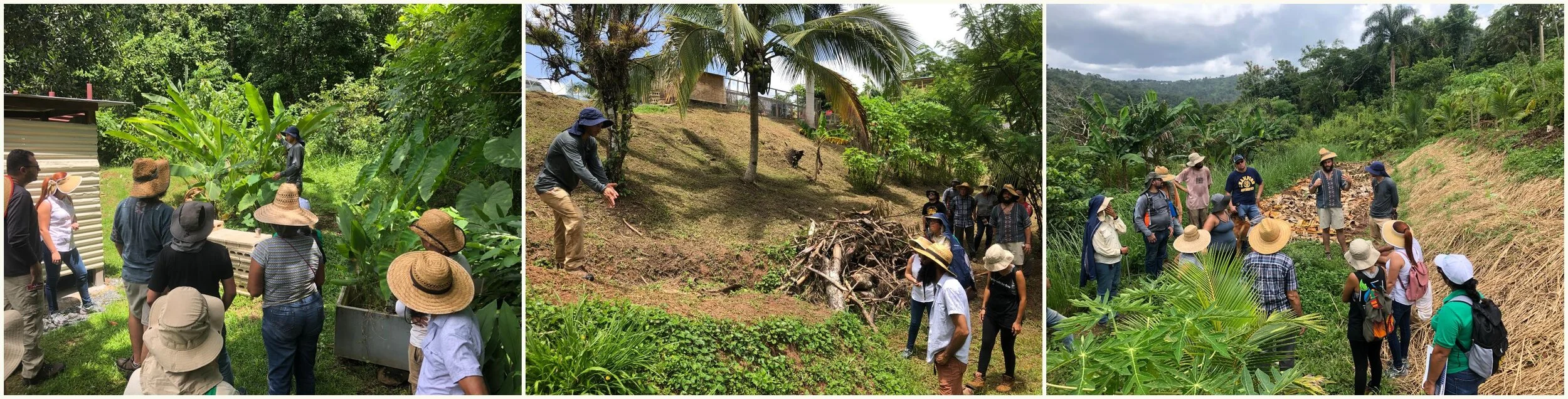 Agricultores de la red de WCK y líderes comunitarios participan de talleres de manejo de agua en Plenitud PR .