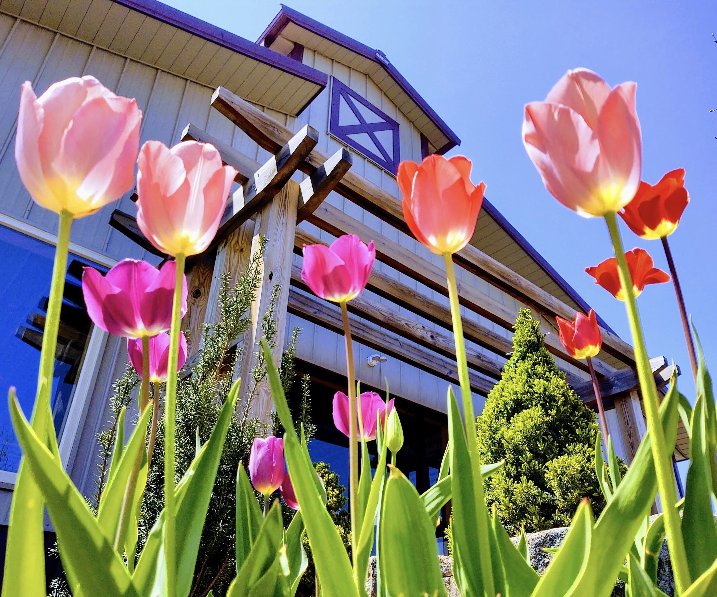 Mother's Day Weekend