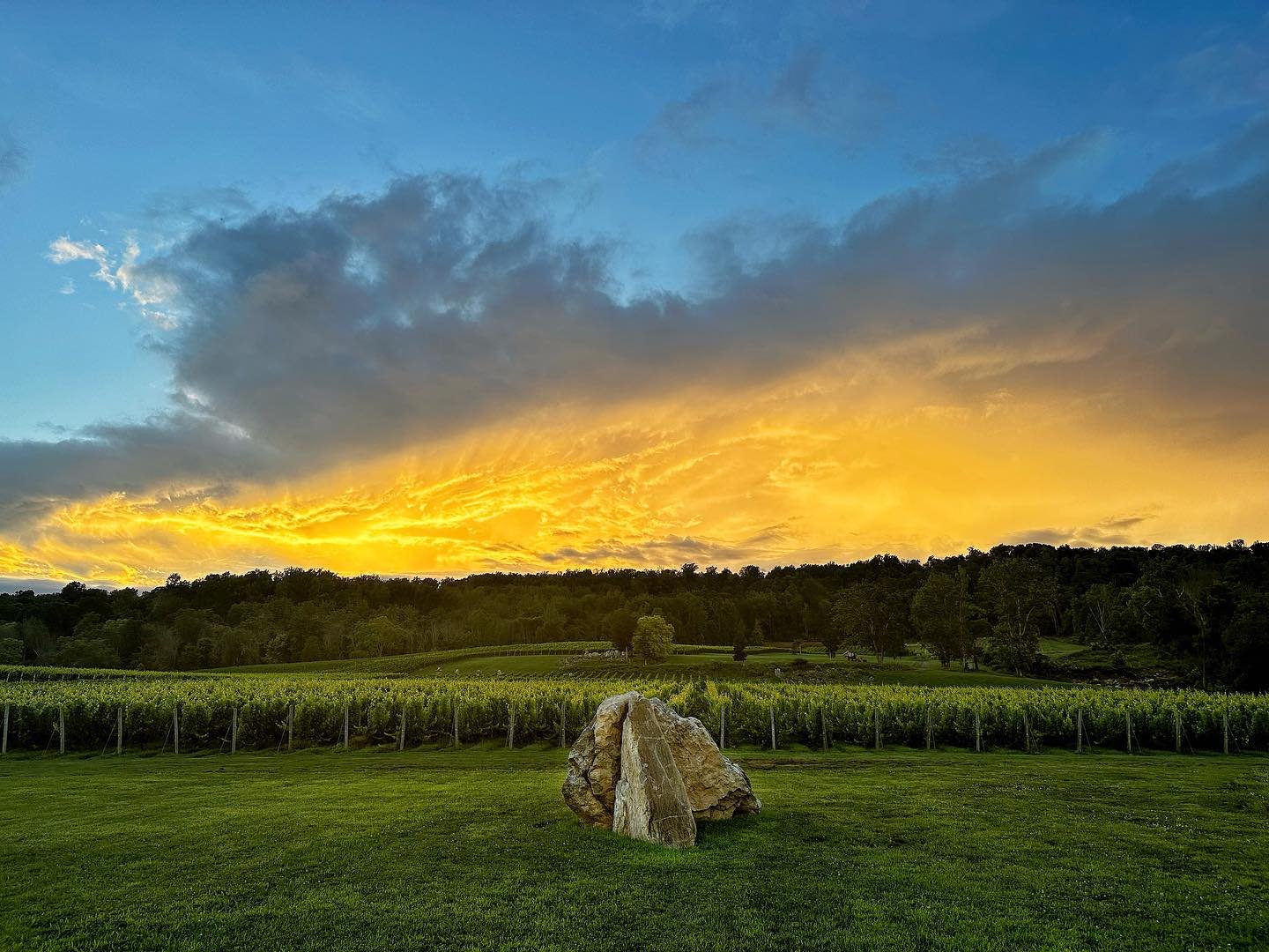 Fall Harvest Chef's Dinner