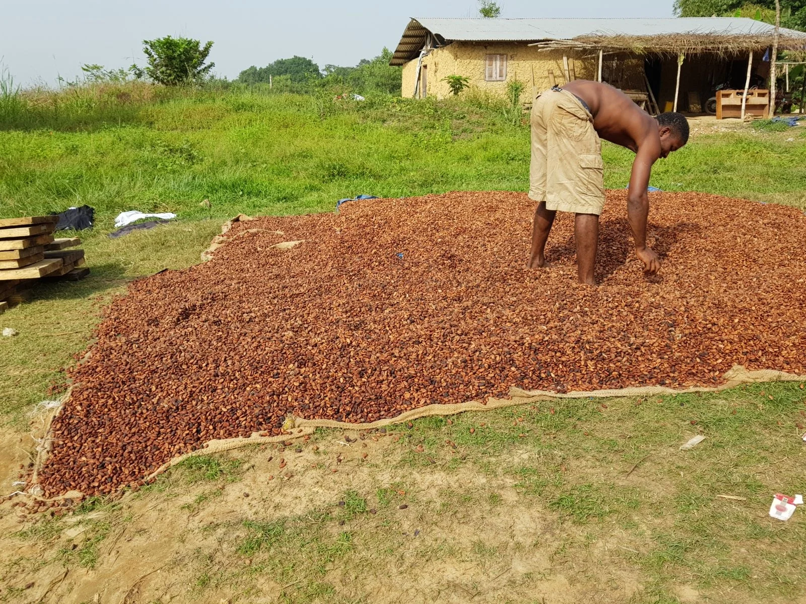 SLFND’s Rice Milling Social Enterprise Co-op provides training and employment for Mondema villagers