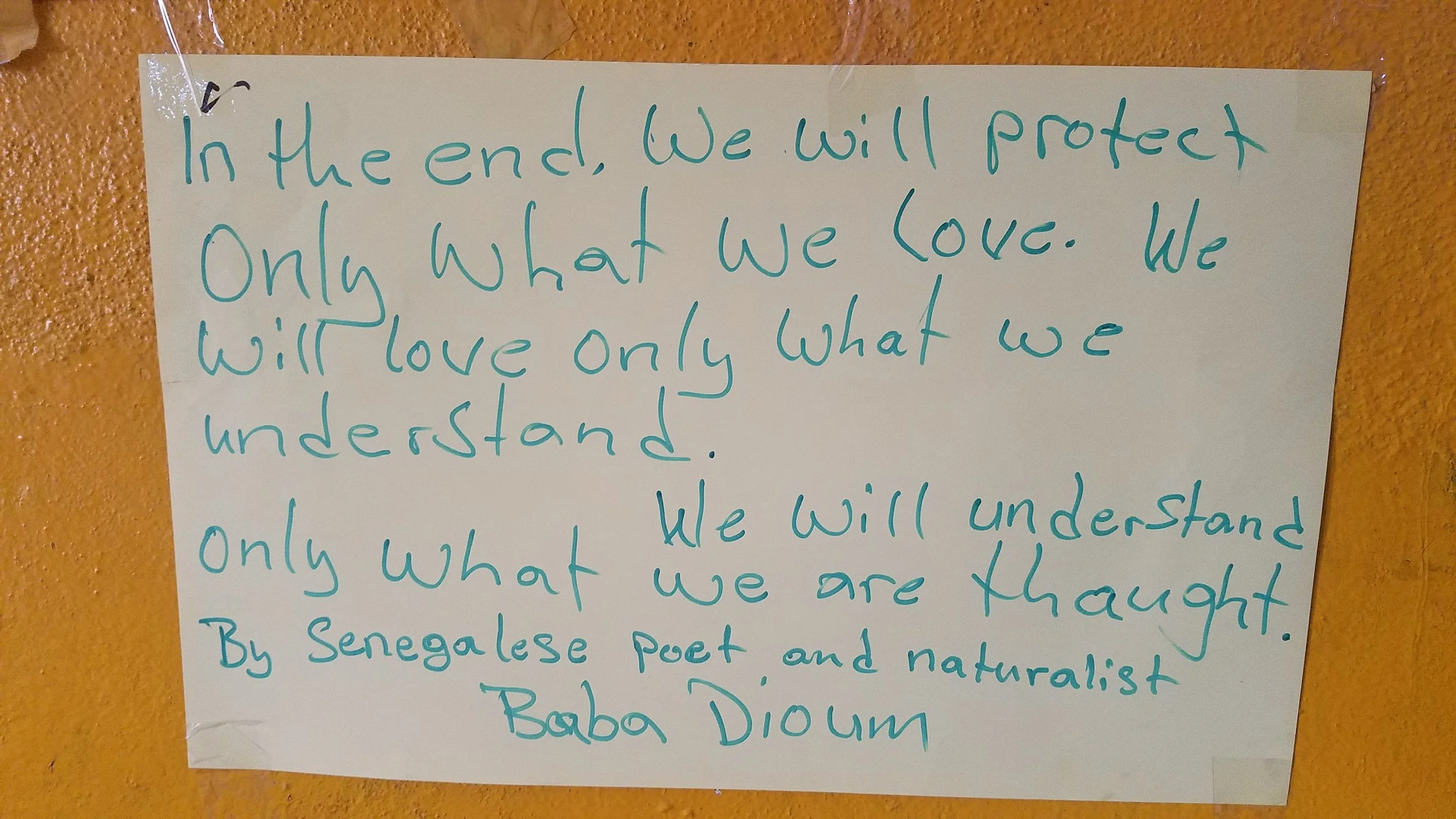 Ponder your philosophy of life