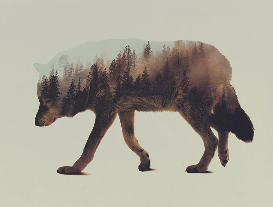 double-exposure-animal-photography-andreas-lie-6__880.jpg