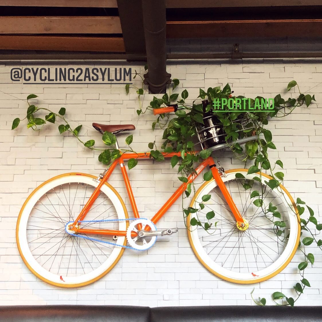 @kissoffentertainment is developing activist drama #cyclingtoasylum based on @sujsokol &lsquo;s sunburst longlisted novel.  It&rsquo;s a near future border-run tale about a family trying to escape US oppression and find sanctuary in Canada. 
🗽Not so