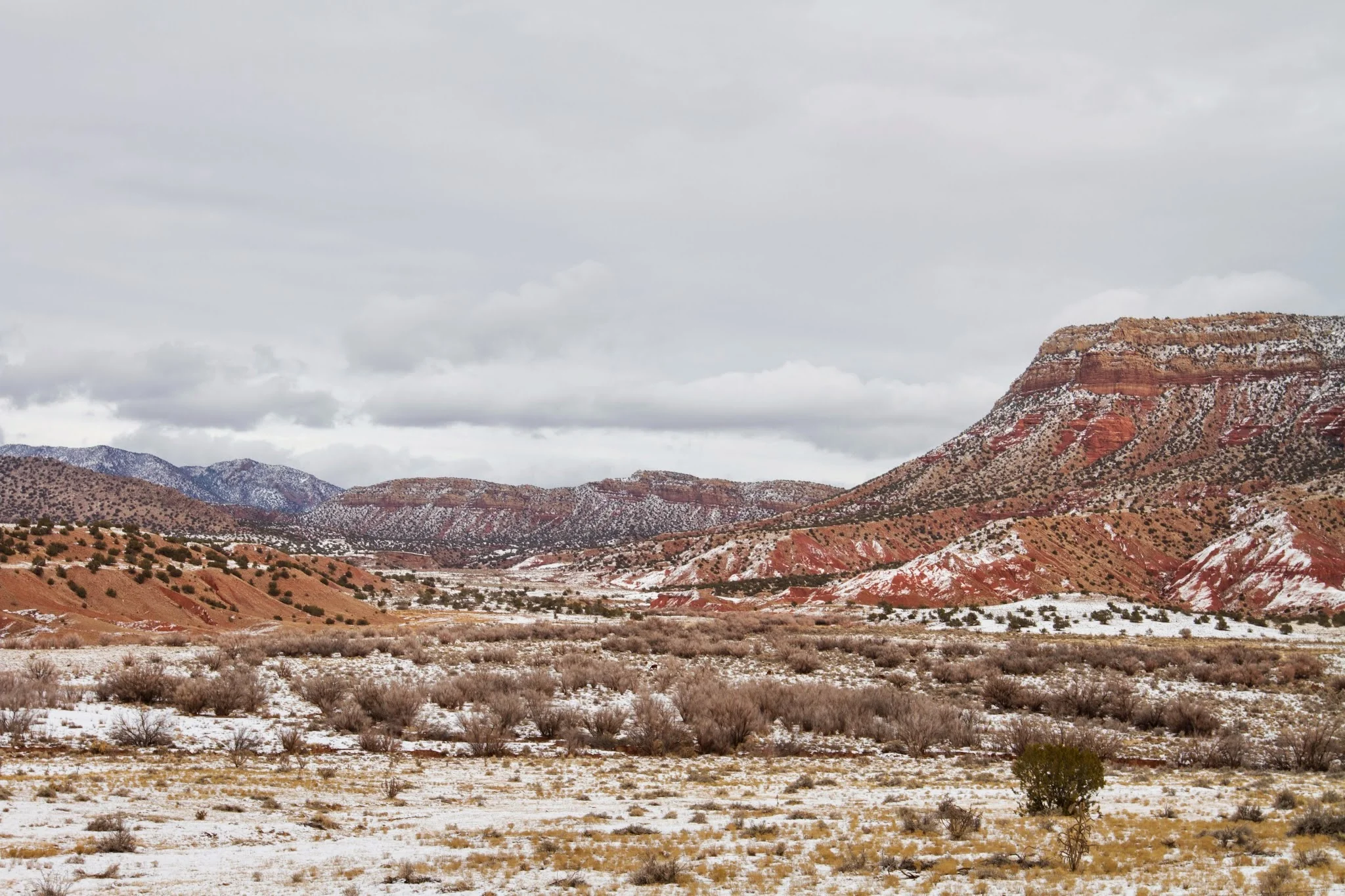 mesa-color.jpg