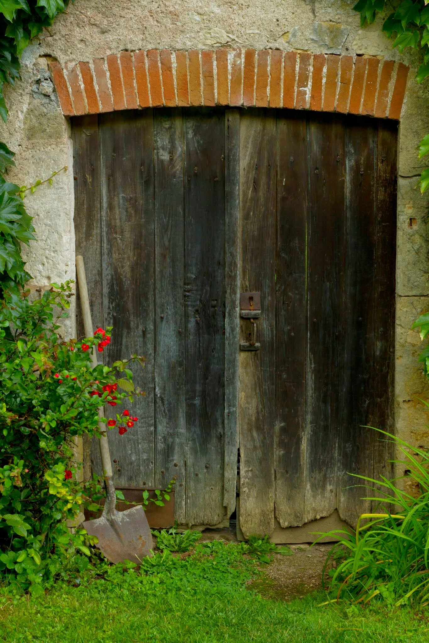 DOOR.jpg