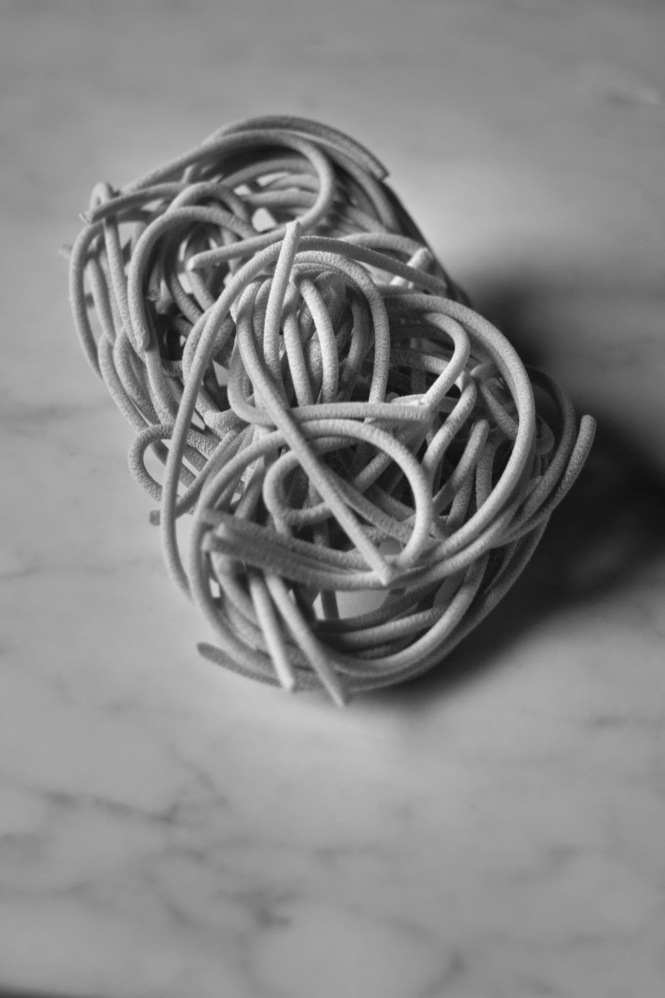 PASTA-1.jpg