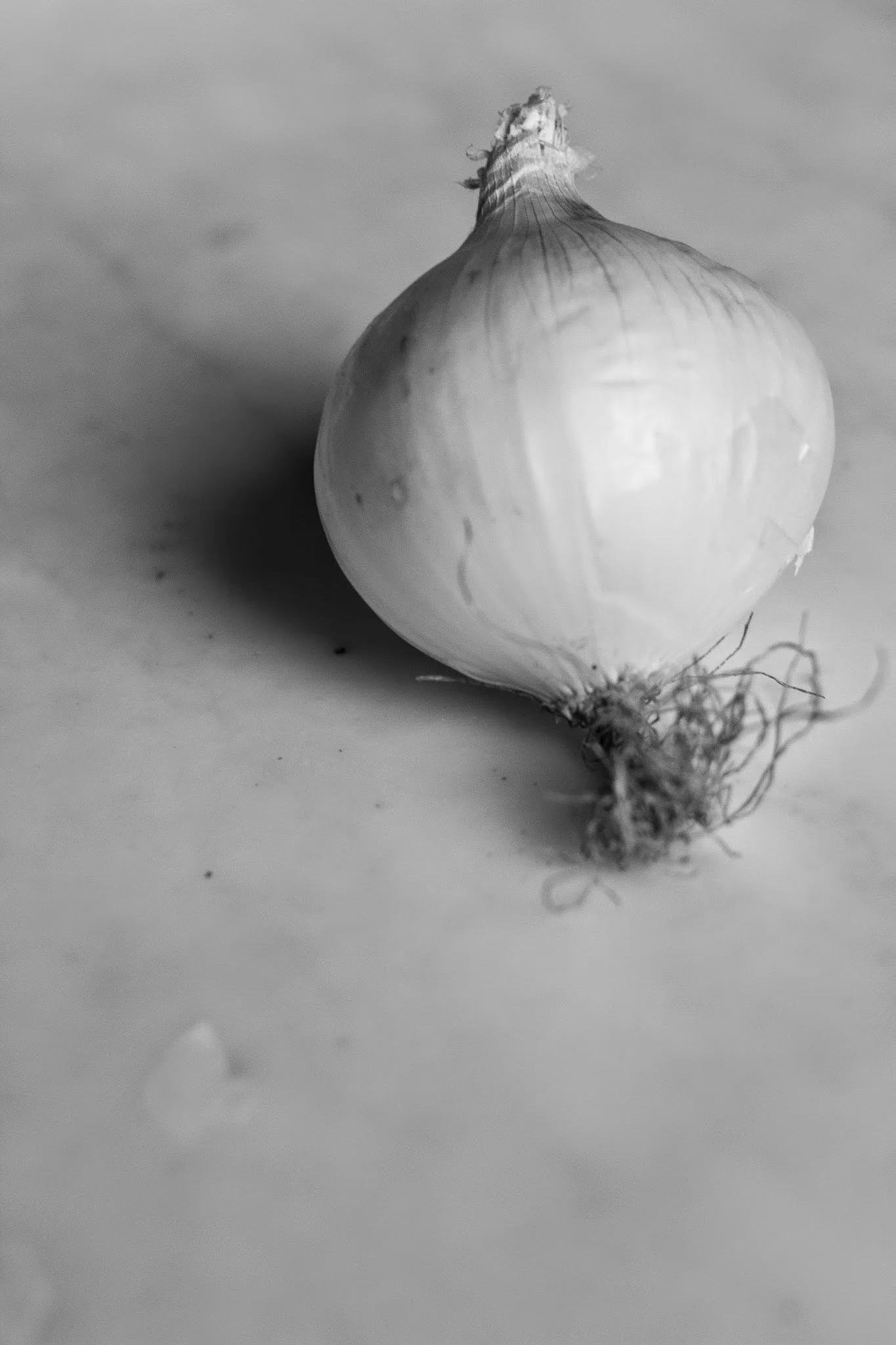 ONION.jpg
