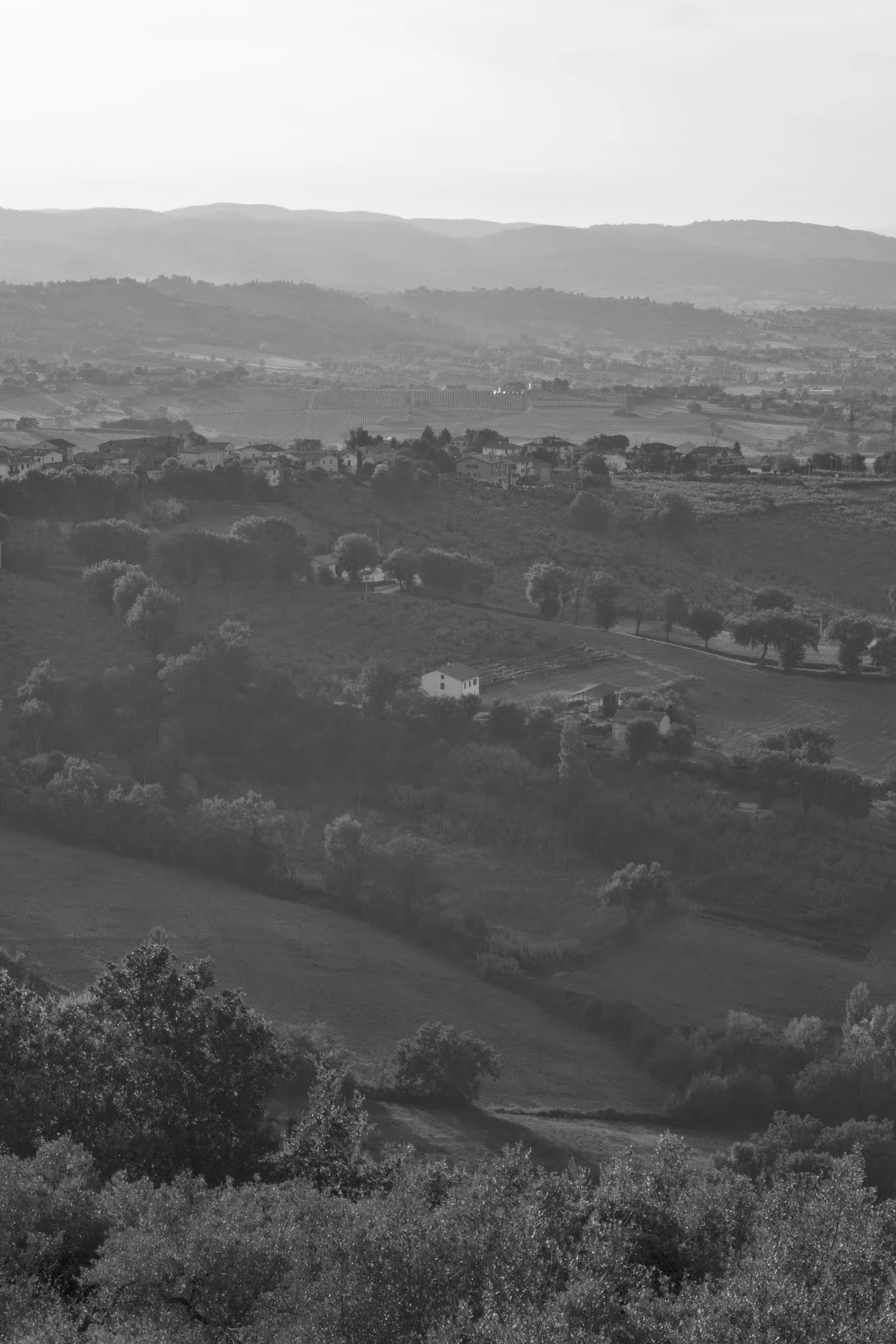 UMBRIA-COUNTRY.jpg