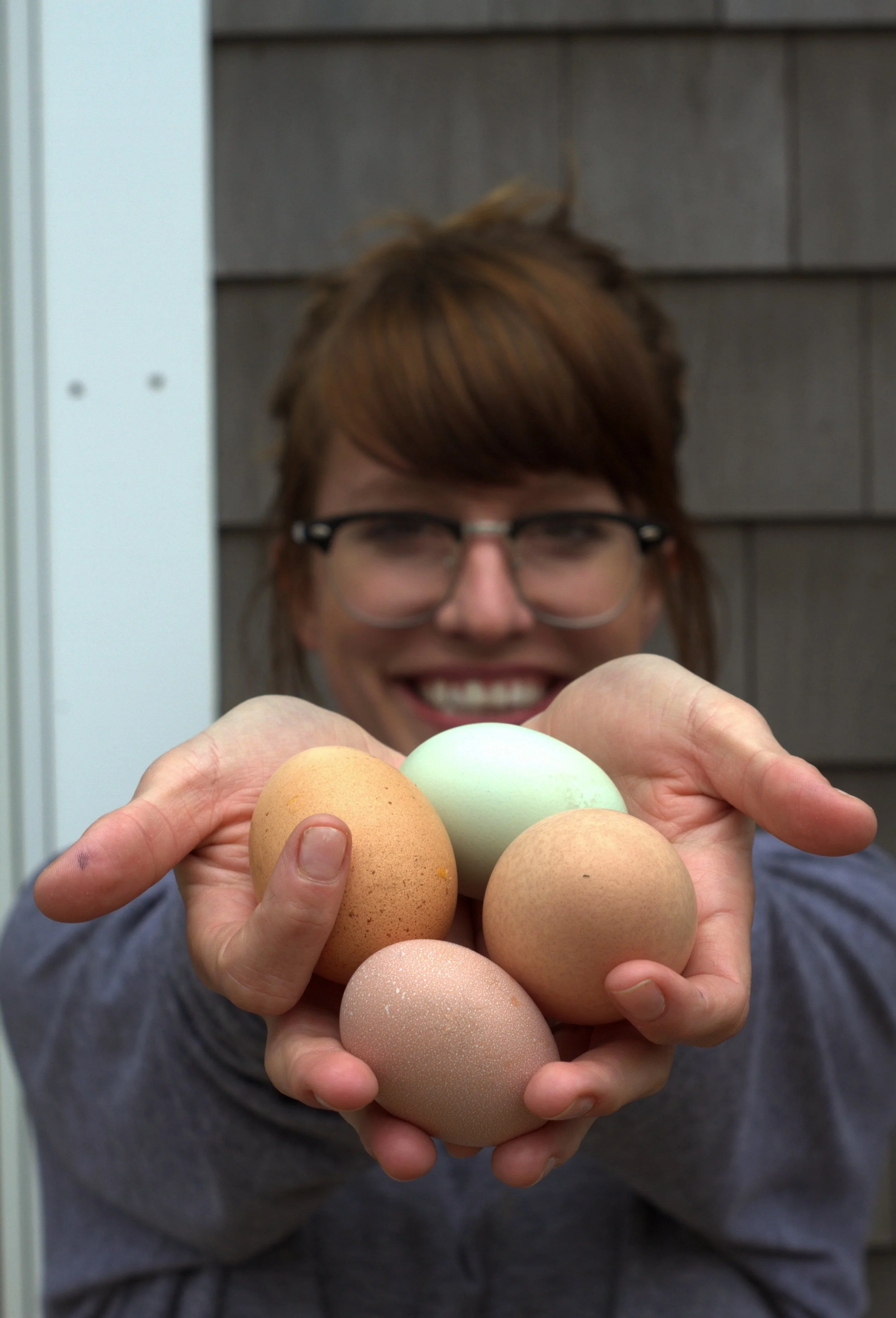 eggs.jpg