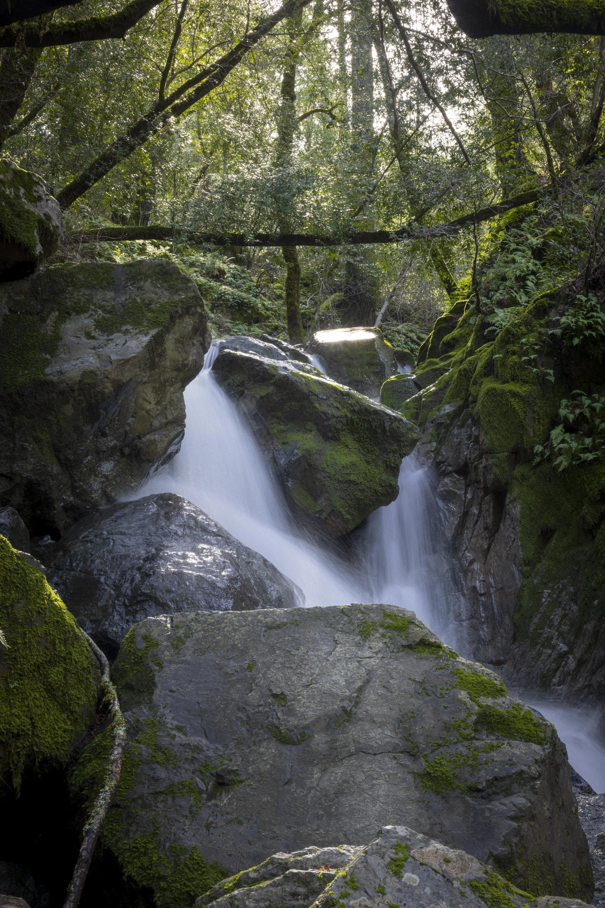 2V1A1344_RUSHING_WATERFALL.jpg