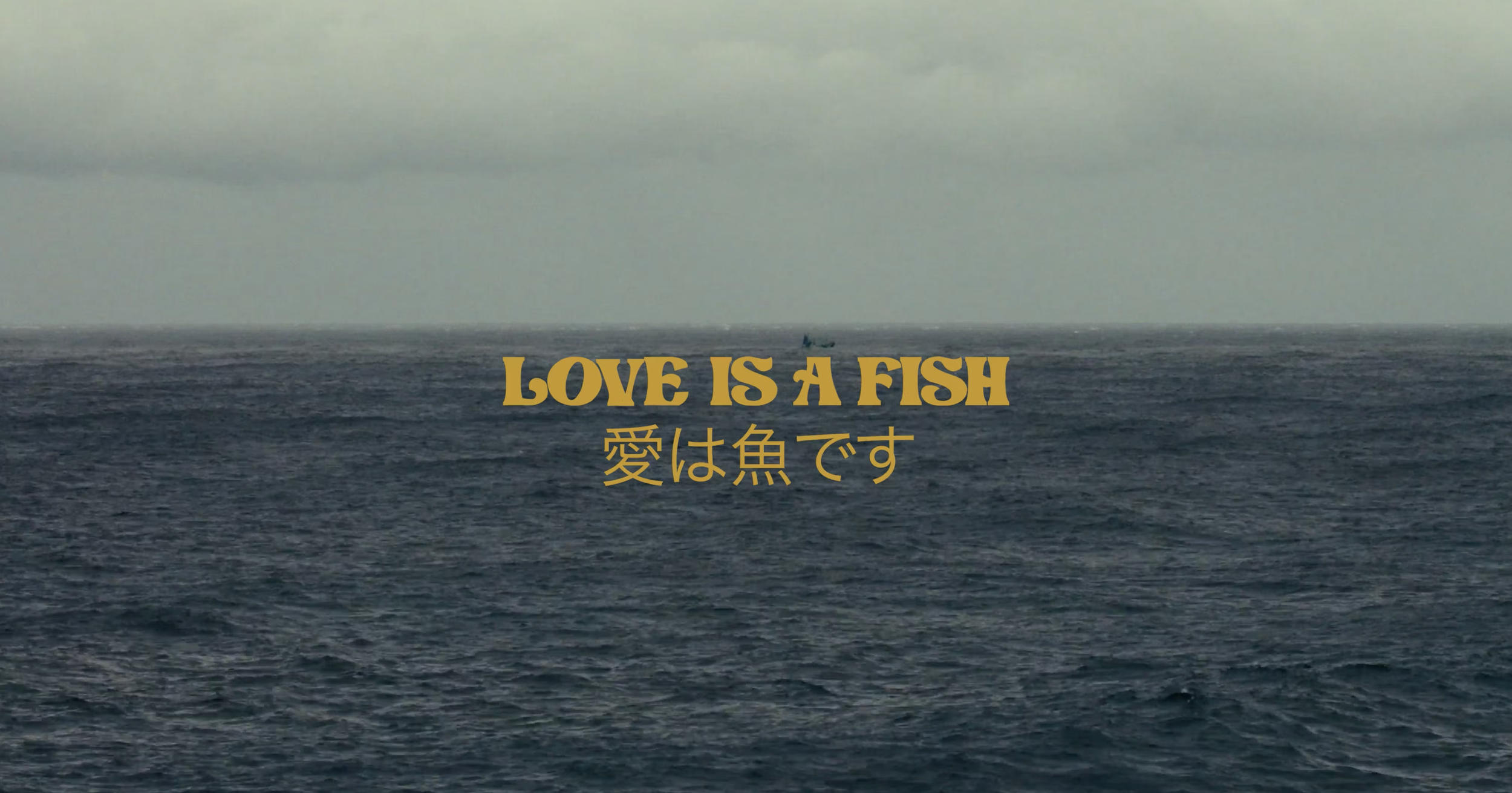 Love is a Fish (Official Trailer) - Short Documentary