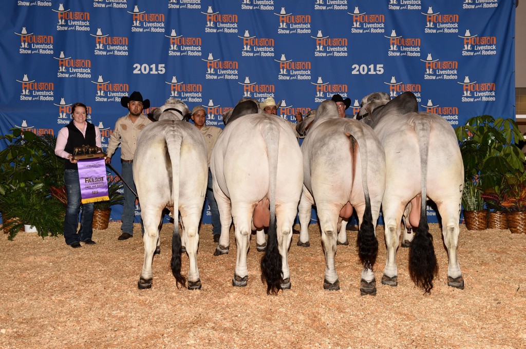 2015 International Grand Champion Get-of-Sire