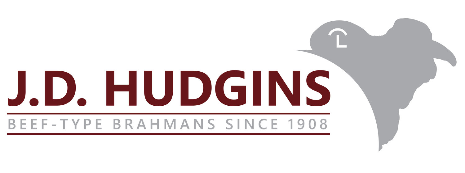 J.D. Hudgins, Inc.