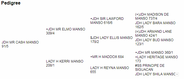 JDH MR CASH 90-5.png
