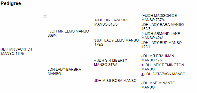 JDH MR JACKPOT 111-5.png