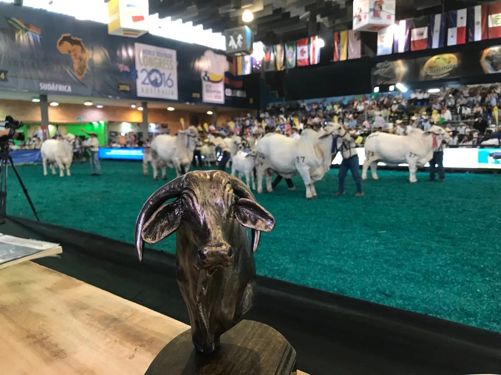 J.D. Hudgins Well Represented at 2018 World Brahman Congress