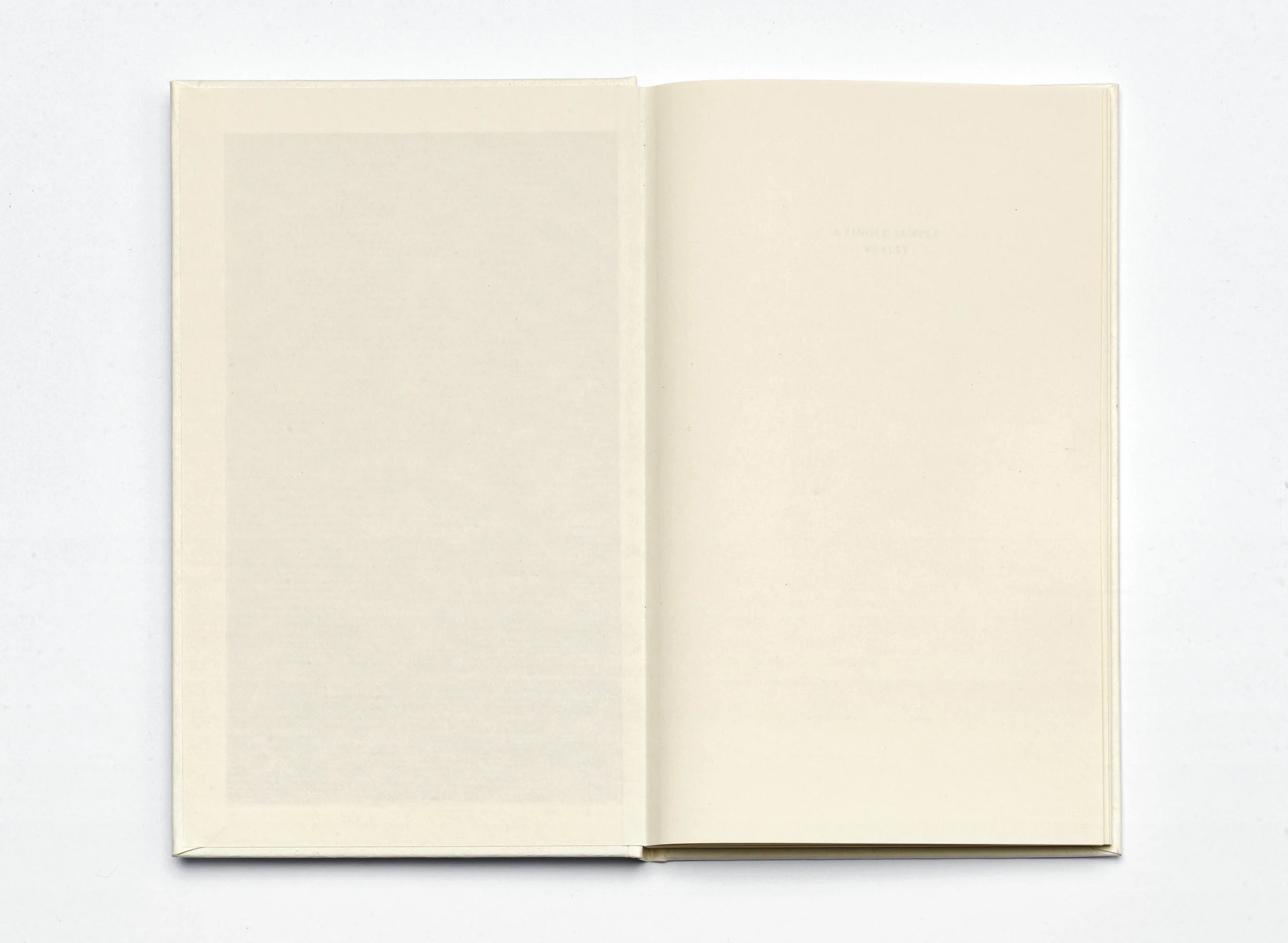 787 Repro Really Booklet51660-1.jpg