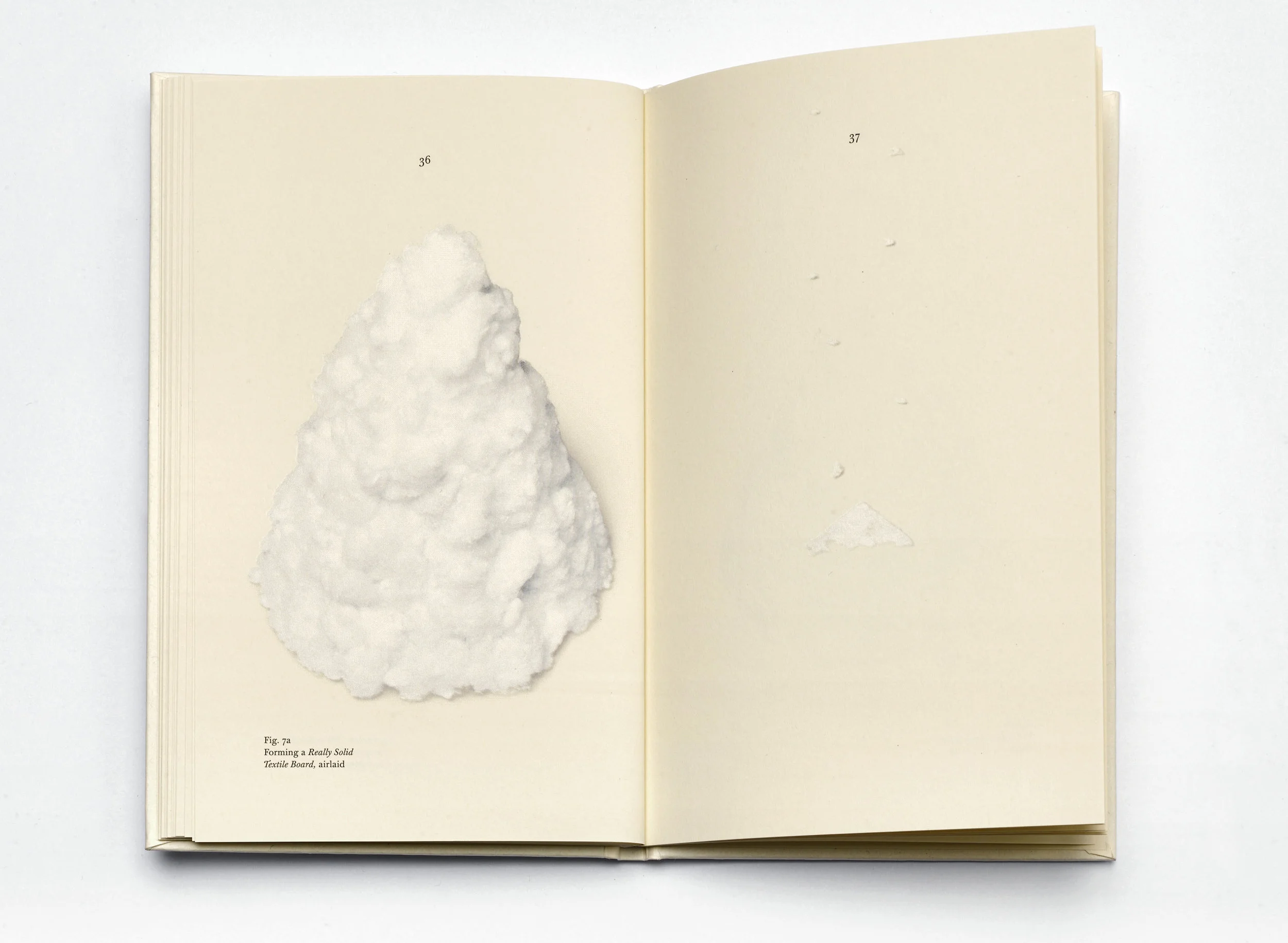 787 Repro Really Booklet51702-1.jpg