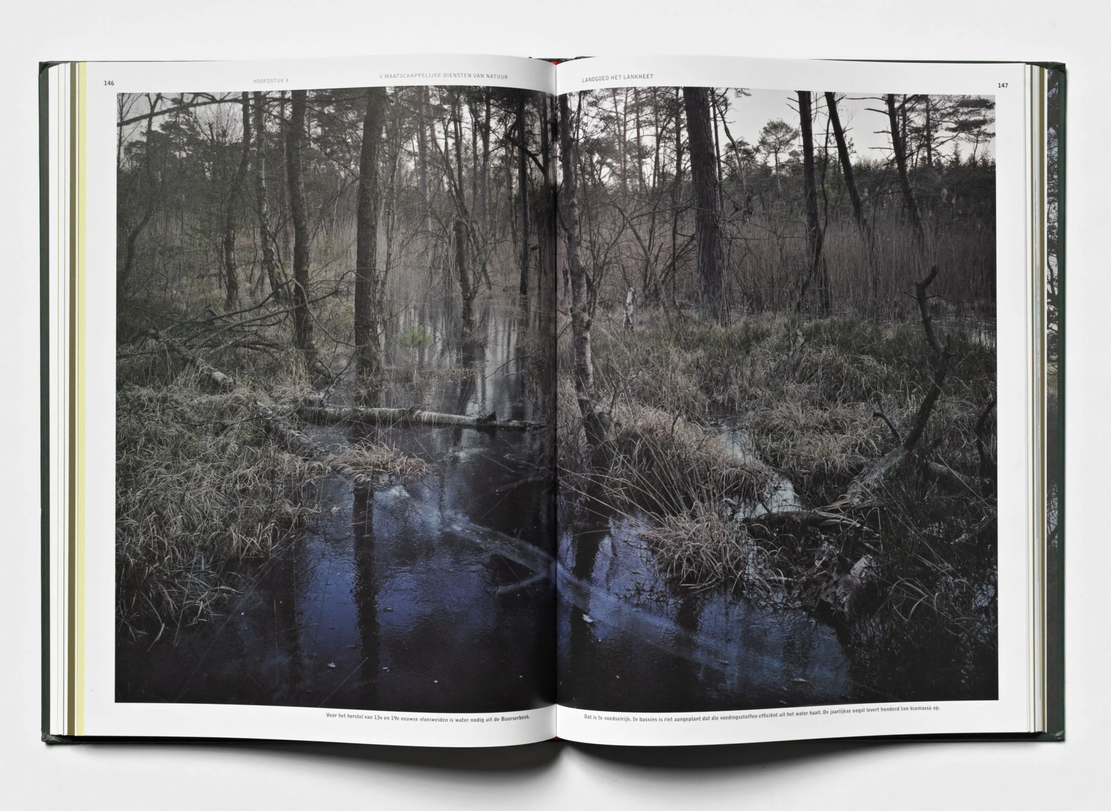 509 Eigen werk fotograferen 40963.jpg