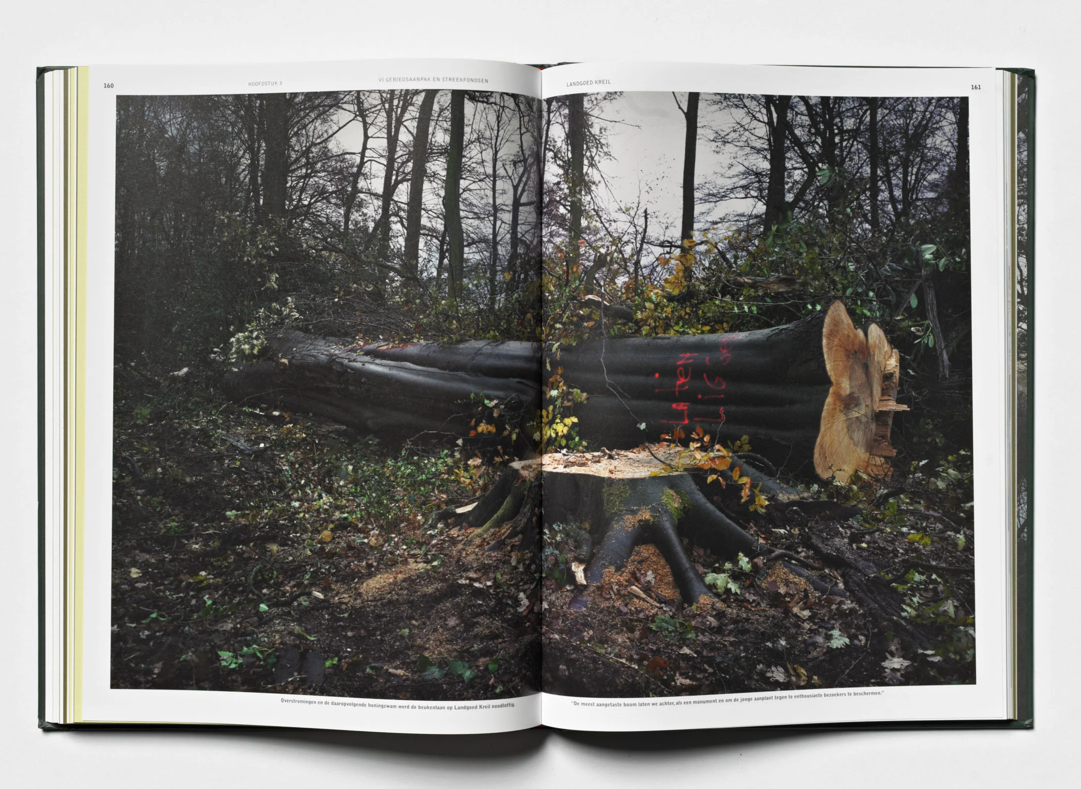 509 Eigen werk fotograferen 40967.jpg