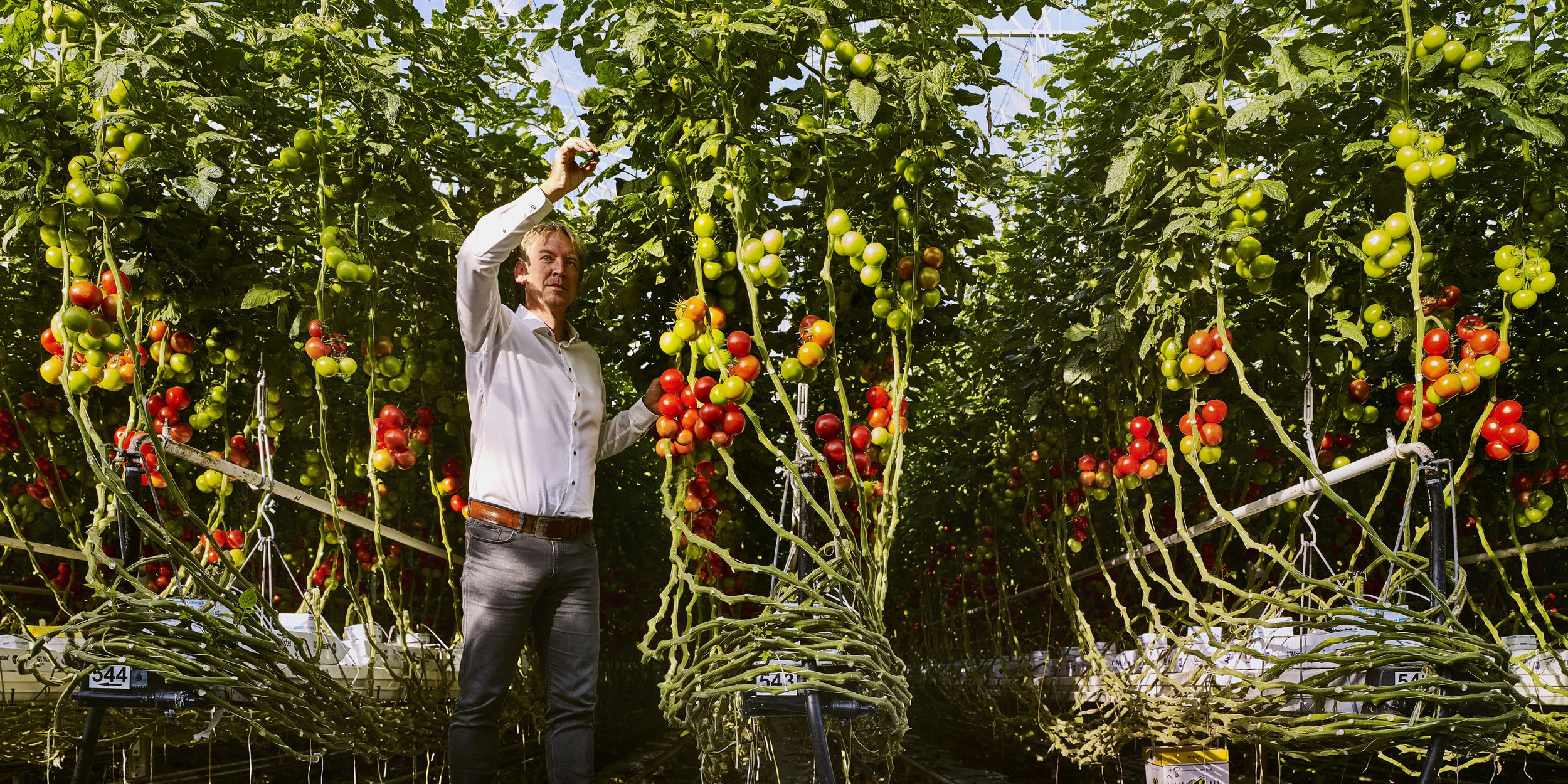 800 HagelUnie_Toghether_54014-2.jpg