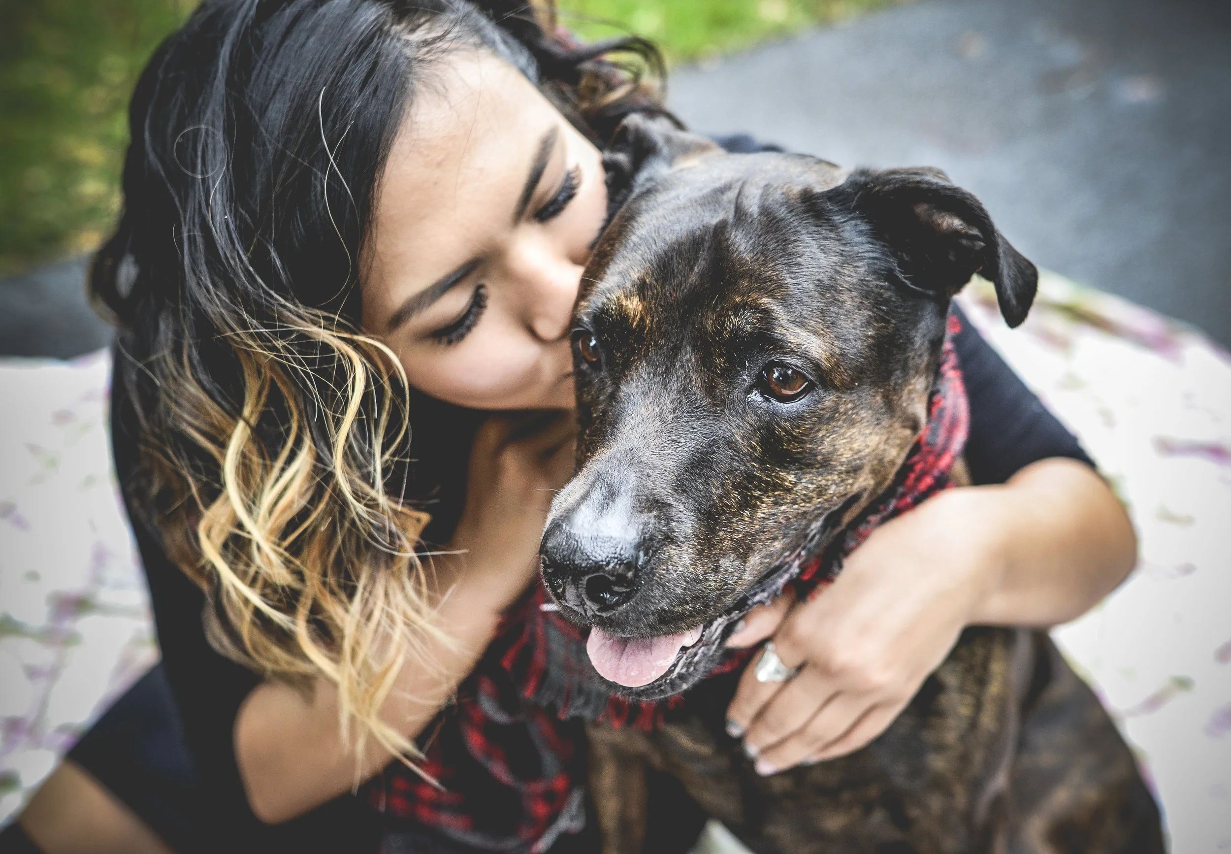 Honey Pup _55.JPG
