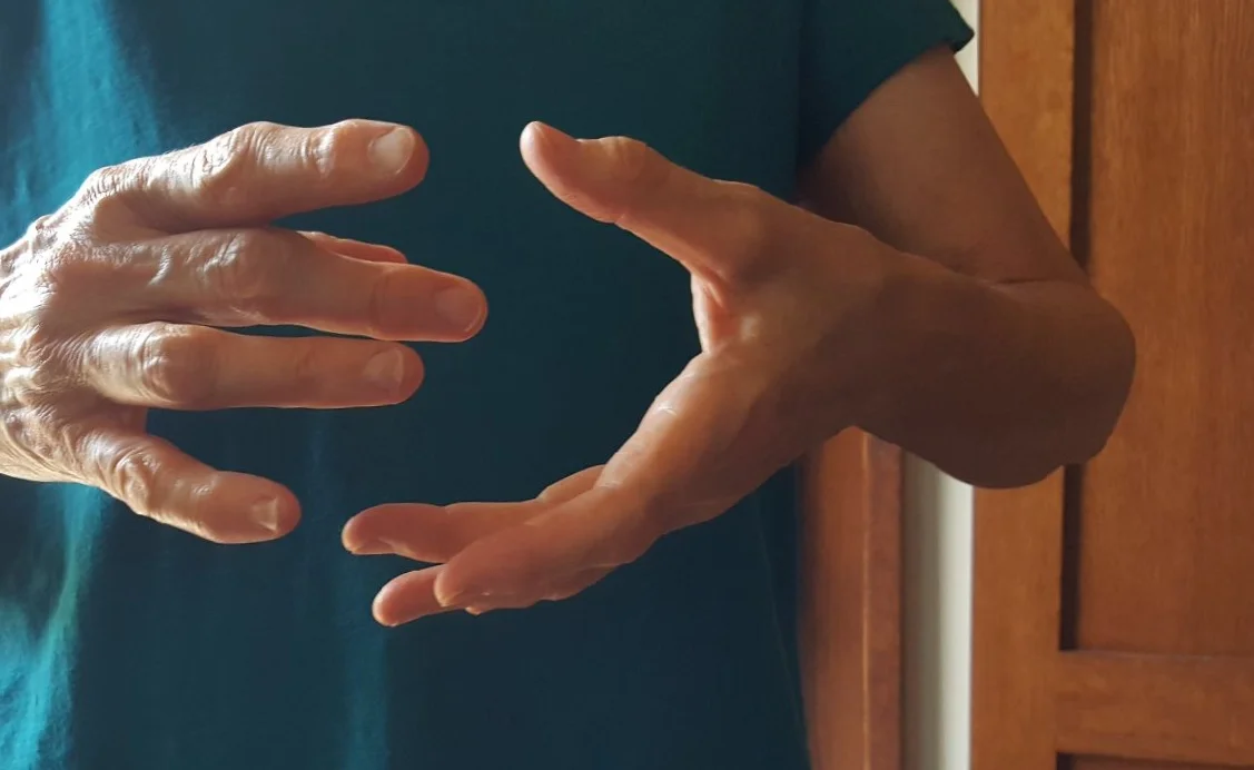 Ortho-Bionomy® Phase 6