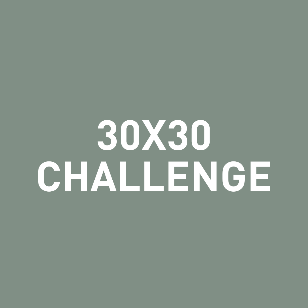 30X30 Challenge