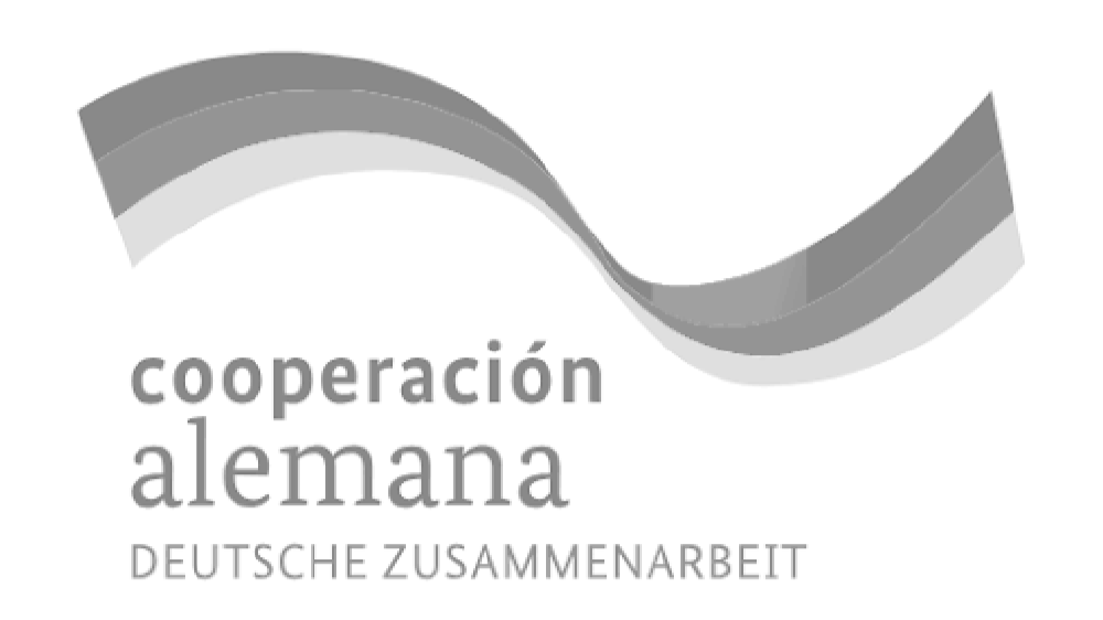 Sin+ti%CC%81tulo-1_Mesa+de+trabajo+1+copia+15.png