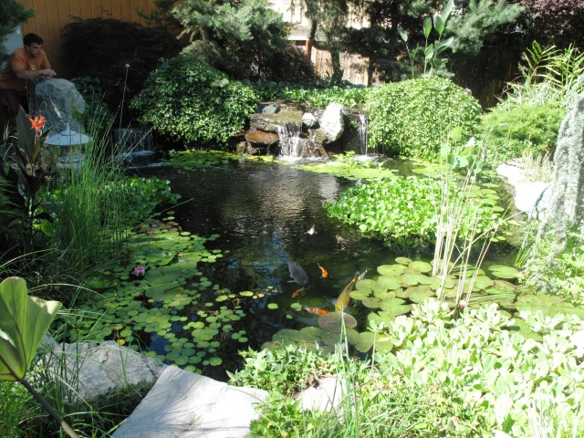 sierrawatergardens151.jpg