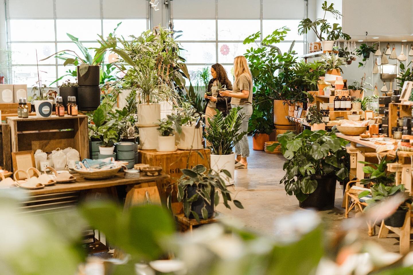 With these hot temps we have our swamp cooler on in the shop! It feels so nice and cool, but no too cold, and the humidity is awesome! 
.
Open today with cool humidity and cute clothes and lots of plants! Happy Weekend!
.
Open weekends 11-5 and M - F