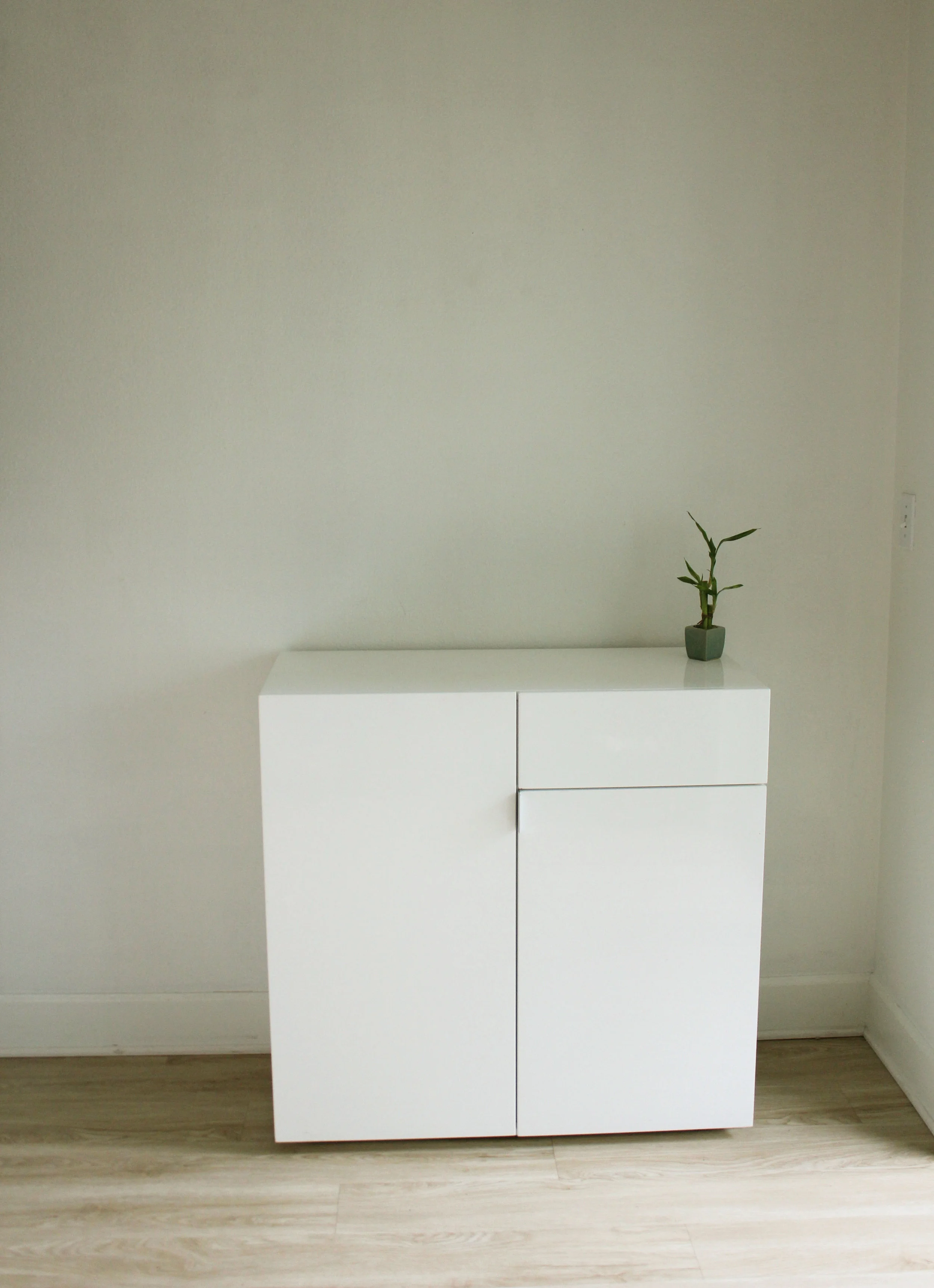BEFORE: The wealth and abundance area of the condo was stark and cold, with a single bamboo plant, and a modern bar. 
