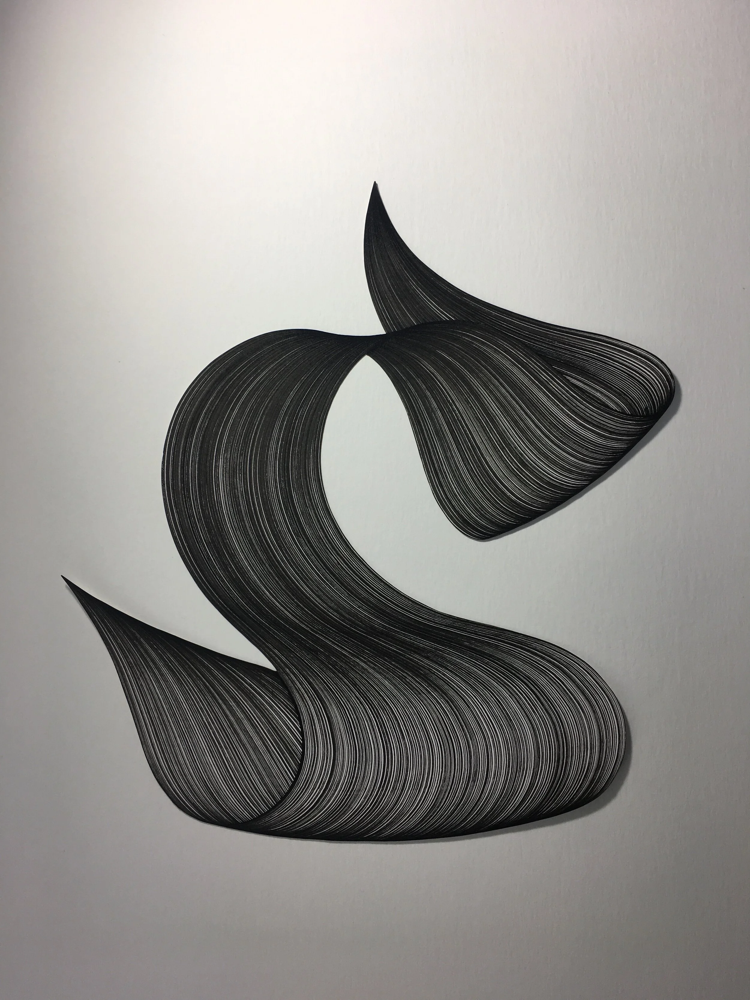 b&w/ws.jpg