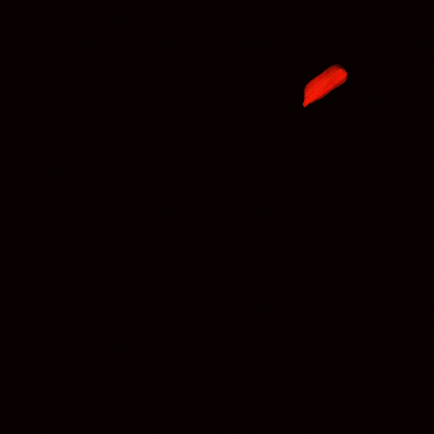 Untitled_Artwork.gif