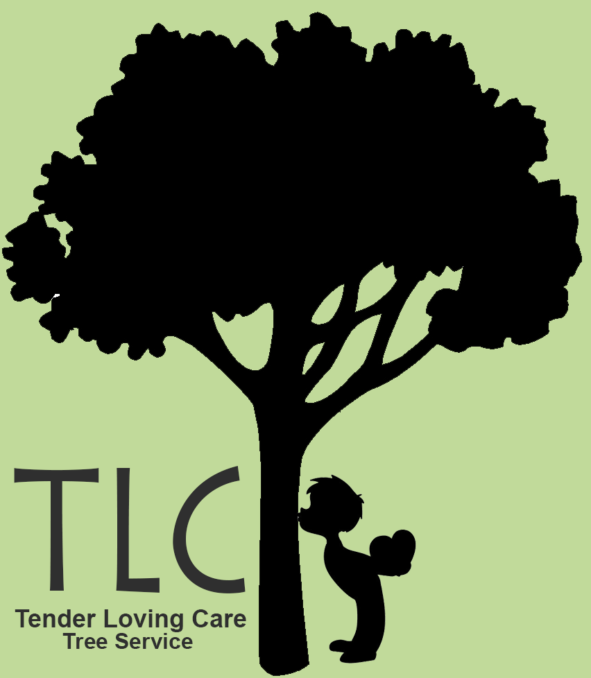 TLC Tree Services