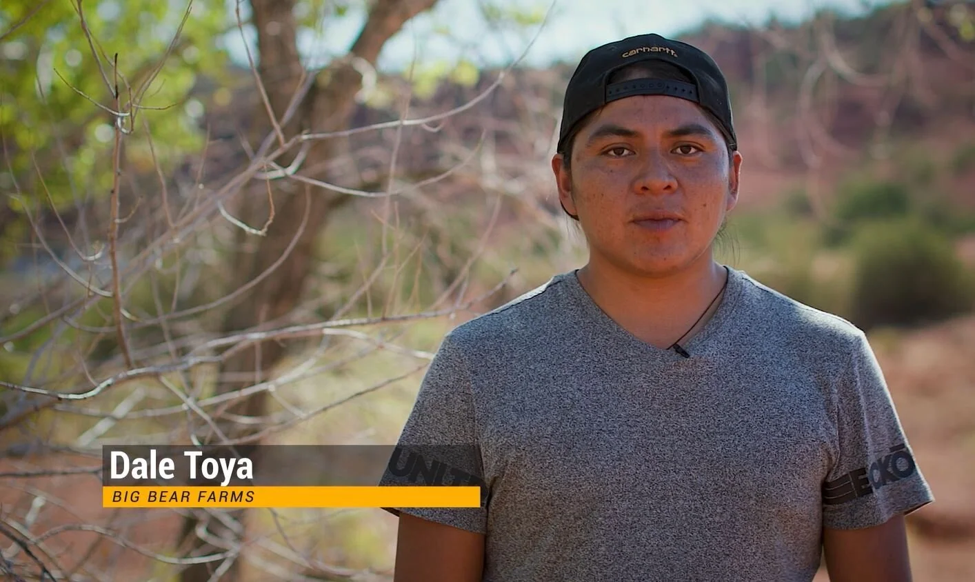 Dale Toya, Big Bear Farms