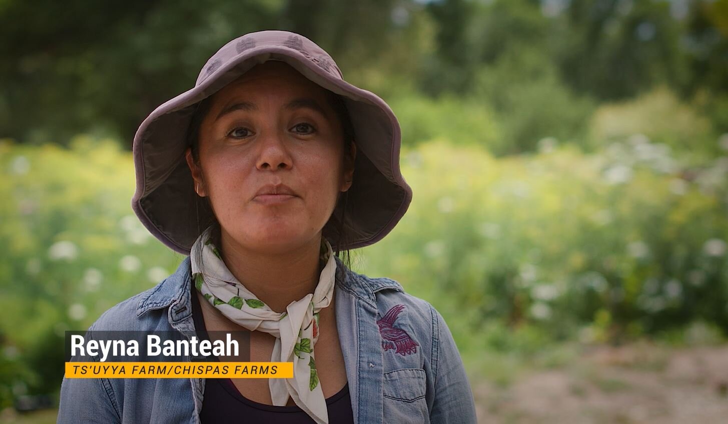 Reyna Banteah - Ts'uyya Farm/ Chispas Farms