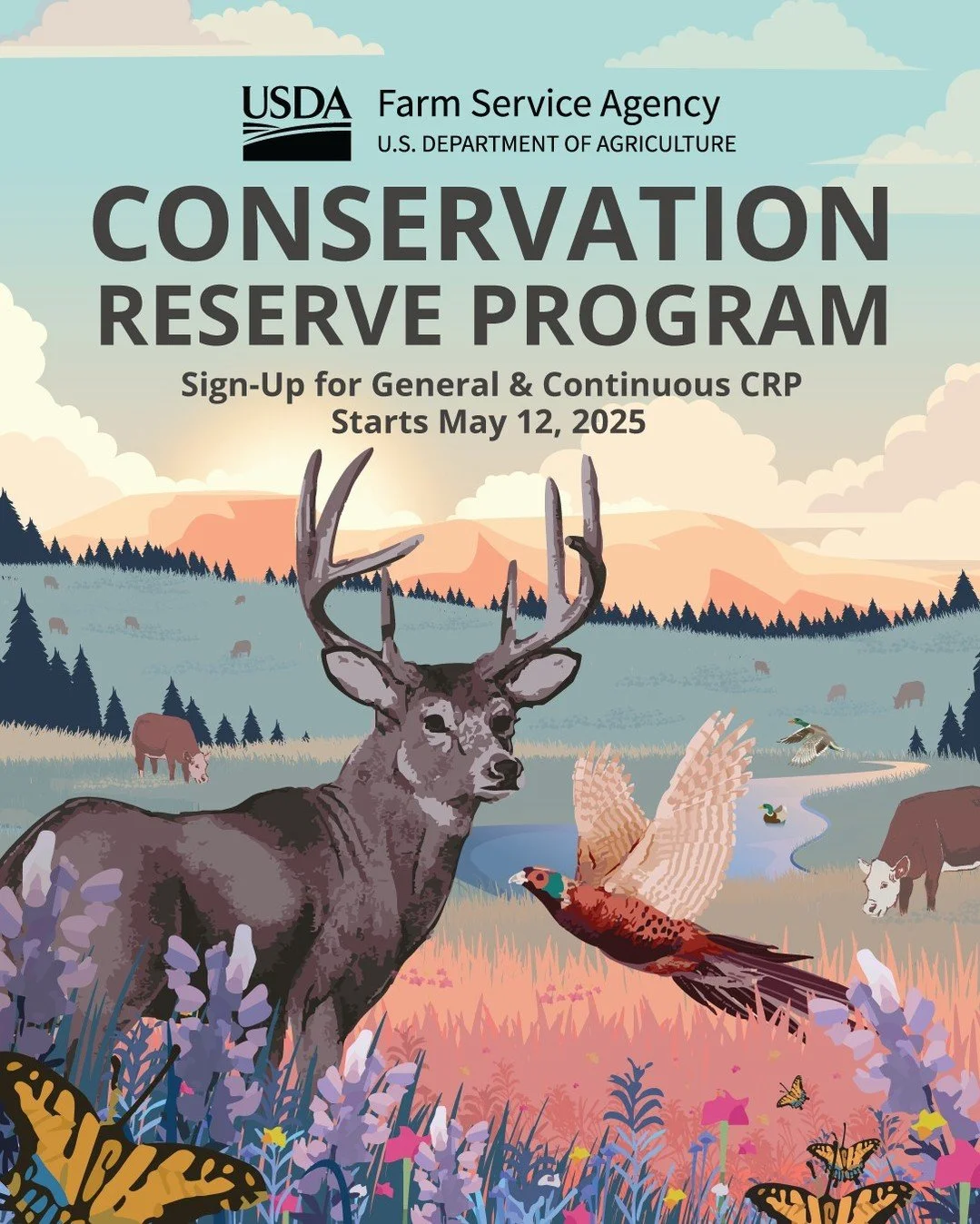 The Conservation Reserve Program (CRP), USDA&rsquo;s flagship conservation program, celebrates its 40th anniversary this year. 

FSA is now accepting offers for both the General and Continuous CRP. Should allotted CRP acreage remain available followi