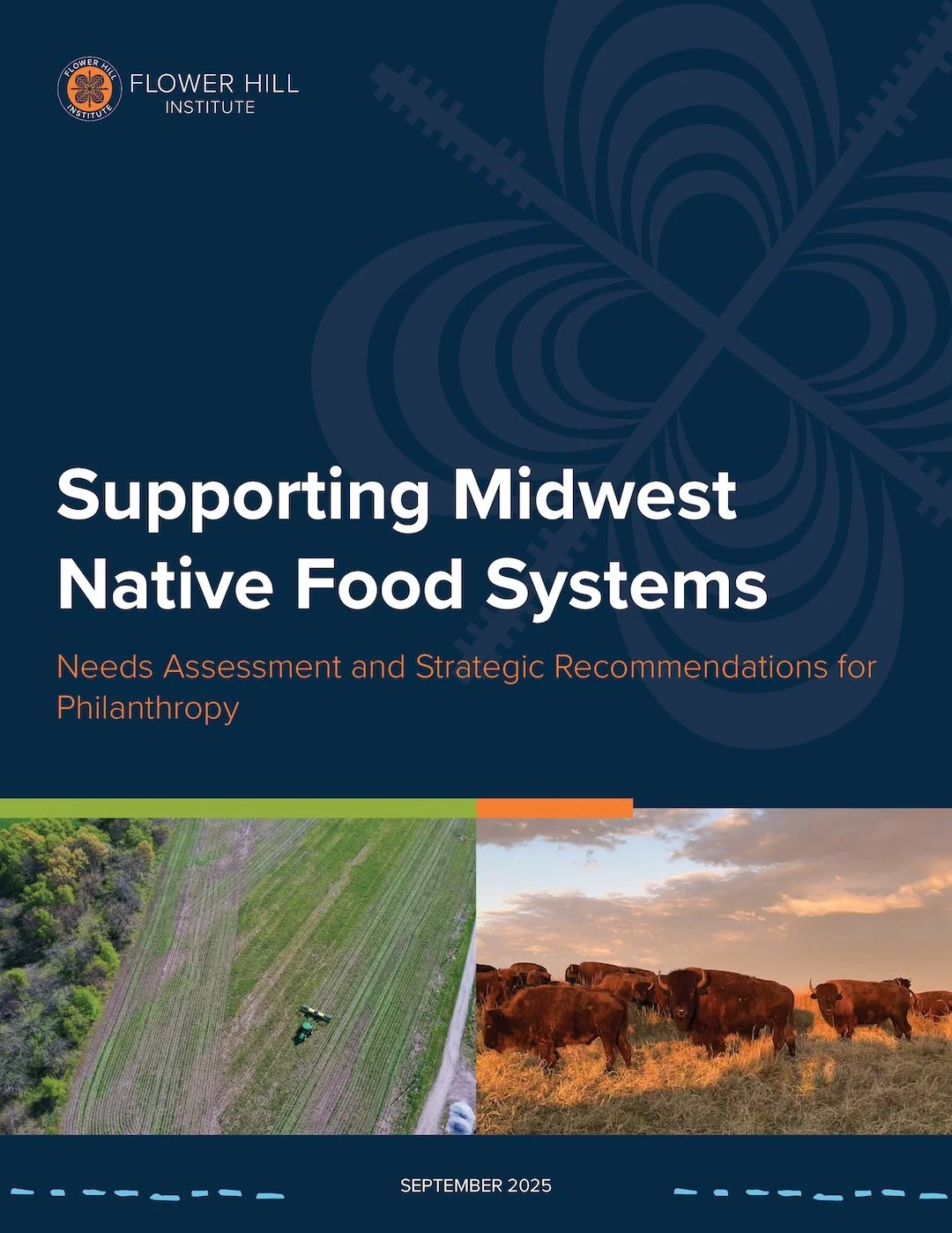 Flower Hill Institute, with support from The Rockefeller Foundation, developed the Midwest Native Food Systems Needs Assessment and Strategic Recommendations for Philanthropy. 

Drawing on direct input from Tribal departments, producers, nonprofits, 