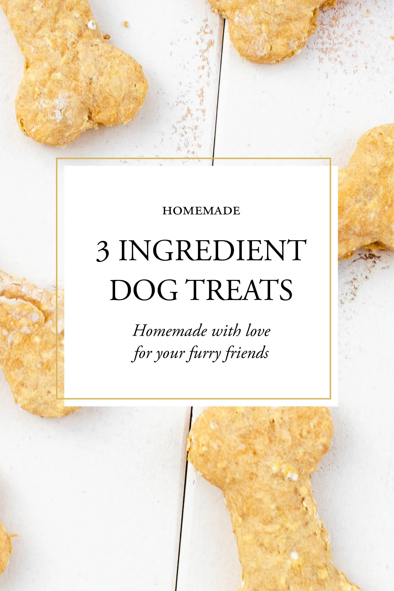 Studioist_Pinterest Design_Dog Treats.jpg