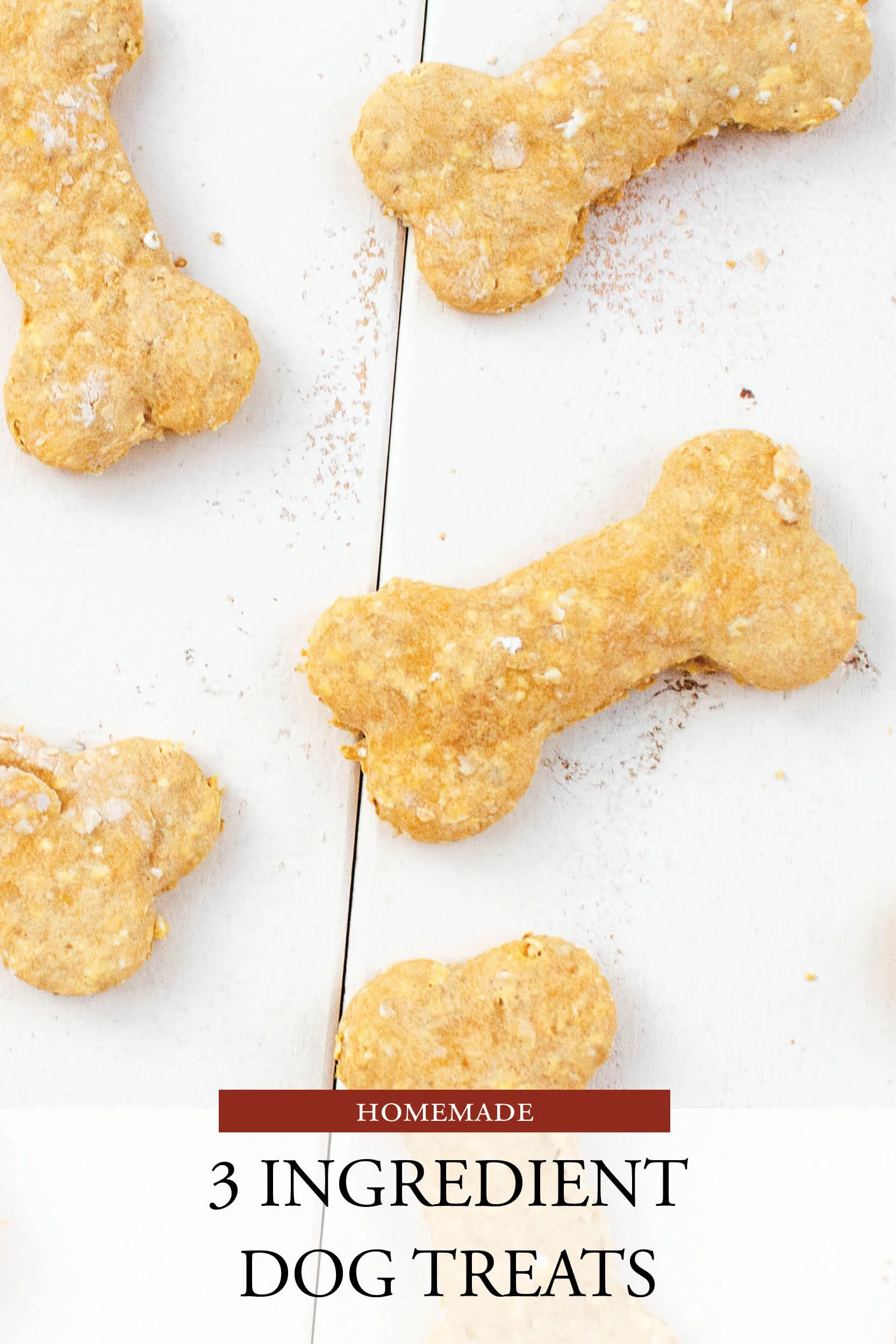 Studioist_Pinterest Design_Dog Treats4.jpg