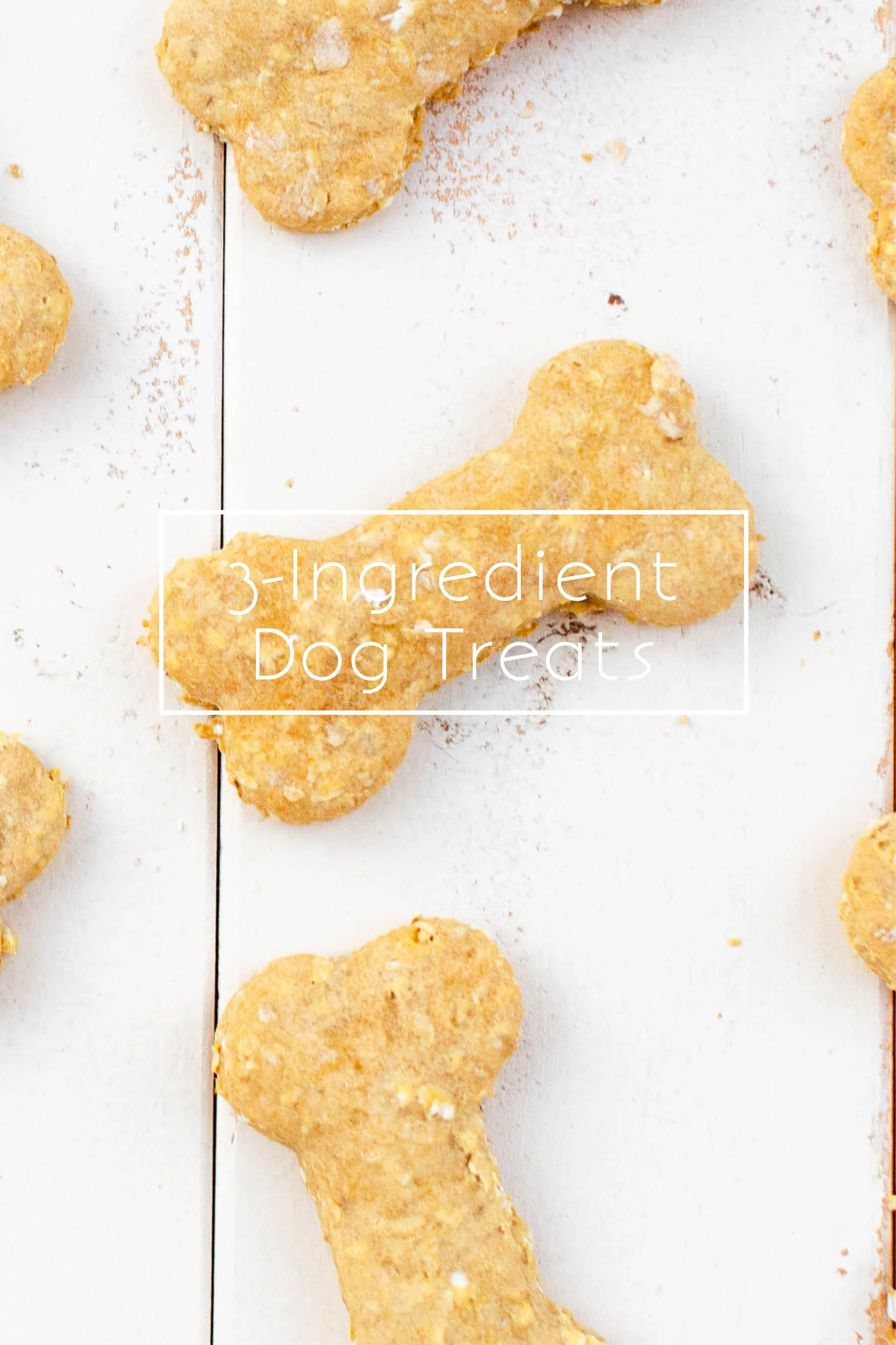 Studioist_Pinterest Design_Dog Treats3.jpg